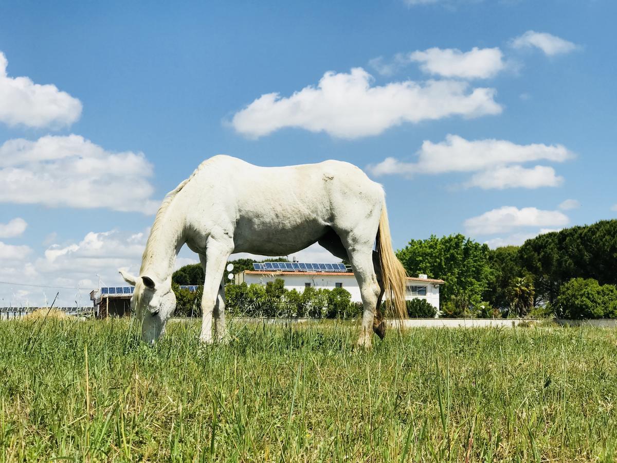 Hotel Masseria Nel Sole Lucera Exteriér fotografie